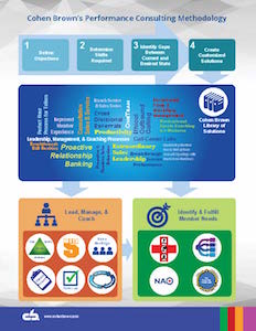 Cohen Browns Performance Consulting Methodology Image